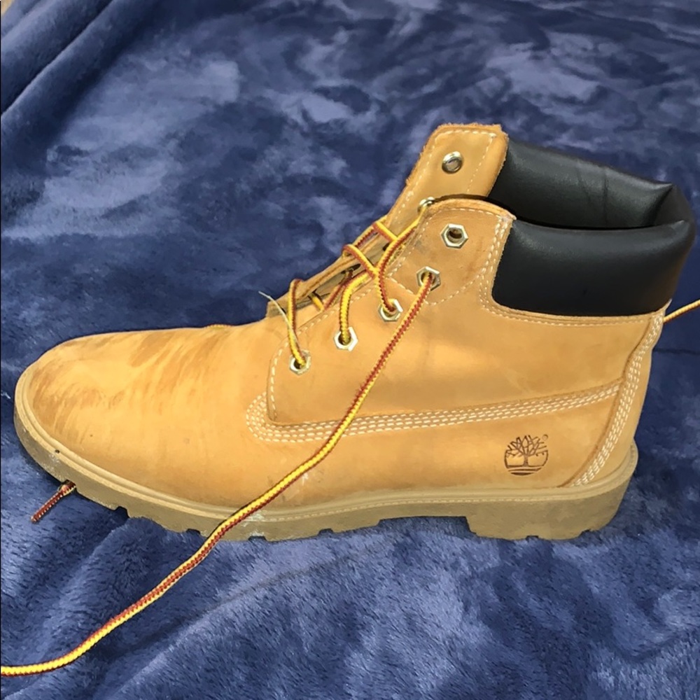 timberlands